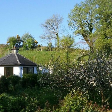 Drombrow Cottage Bantry Extérieur photo